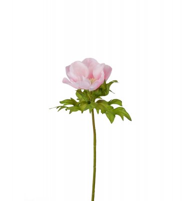Anemon Rosa 43cm