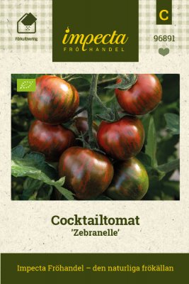 Tomat, Cocktail- Zebranelle, Ekologisk