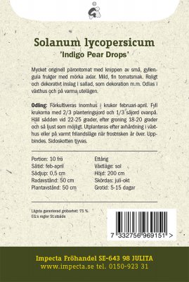 Tomat, Päron-, 'Indigo Pear Drops'