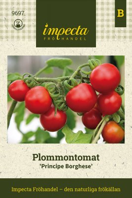 Plommontomat Principe Borghese