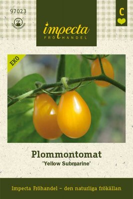 Tomat, Plommon-, 'Yellow Submarine', Ekologisk