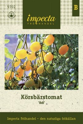 Tomat, Körsbärs-, Ildi