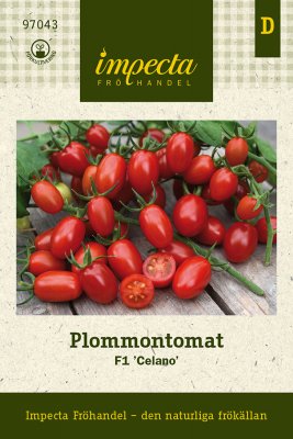 Tomat, Plommon-, F1 Celano