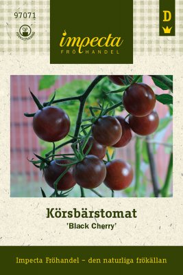 Tomat, Körsbärs-, Black Cherry