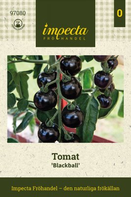 Tomat Blackball