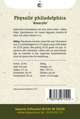 Tomatillo, 'Amarylla'