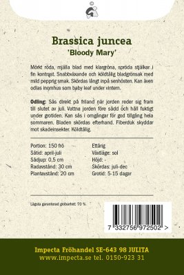 Salladssenap, 'Bloody Mary'