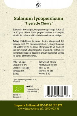 Tomat, Cocktail-, Tigerette Cherry, Ekologisk