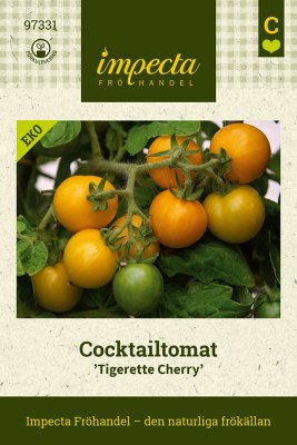 Tomat, Cocktail-, Tigerette Cherry, Ekologisk