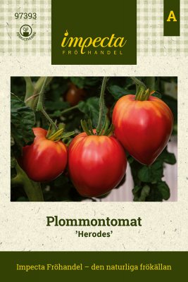 Tomat, Plommon-, Herodes