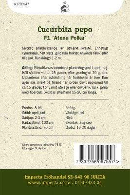 Squash, 'Atena Polka' F1