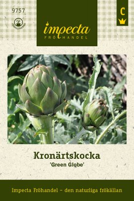Kronärtskocka, Green Globe