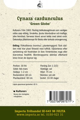 Kronärtskocka, Green Globe