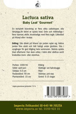 Sallat, Baby Leaf, Gourmet