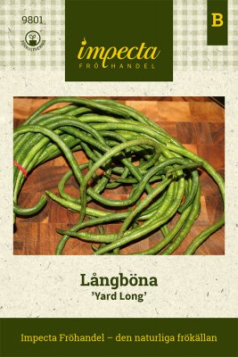 Böna, Lång-, Yard Long