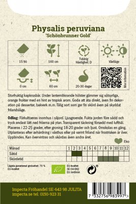 Gyllenbär, Physalis, Schönbrunner Gold, Ekologisk