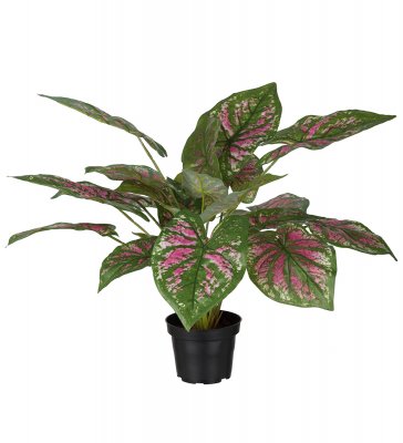 Caladium 40cm, Konstgjord