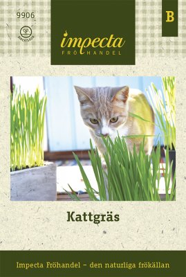 Kattgräs
