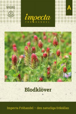 Blodklöver