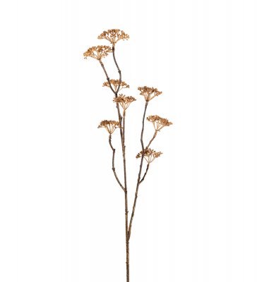 Kvist Beige 70cm