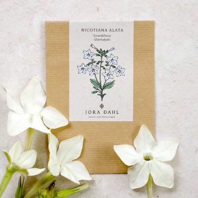 Blomstertobak, Stor, Grandiflora