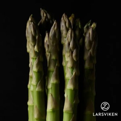 Sparris Grolim Sparriskronor 5-pack