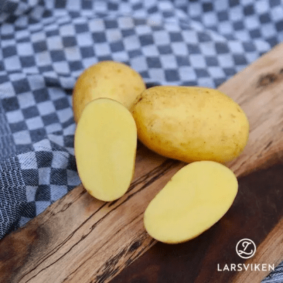 Sättpotatis Lady Jane 1kg