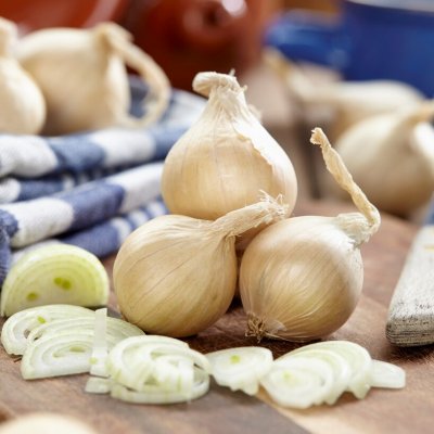 Sättlök Schalottenlök Hermine 250g