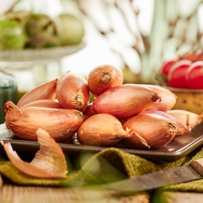 Sättlök Schalottenlök Rosa Longor Eko
