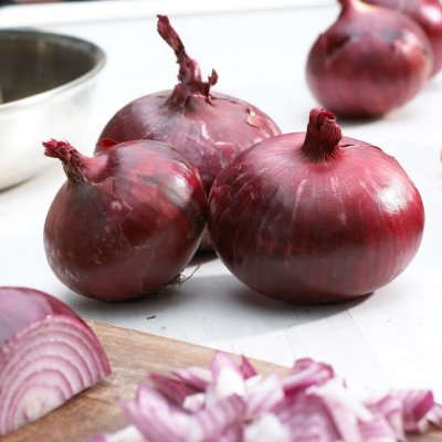 Sättlök Röd Red Baron 250g