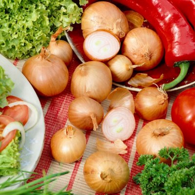 Sättlök Schalottenlök Red Sun Ekologisk 250g