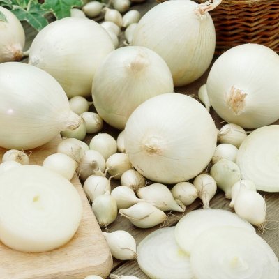 Sättlök Silverlök Snowball 250g