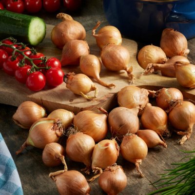 Sättlök Schalottenlök Golden Gourmet 250g