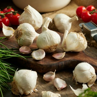 Sättlök Vitlök Morado 250g