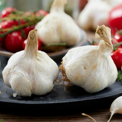 Vitlök Messidrome EKO 2-pack