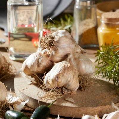 Vitlök Rustisem EKO 2-pack