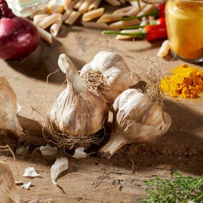 Vitlök Rustisem EKO 2-pack