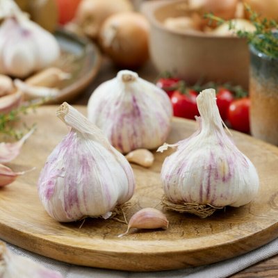 Vitlök Thermidrome 2-pack