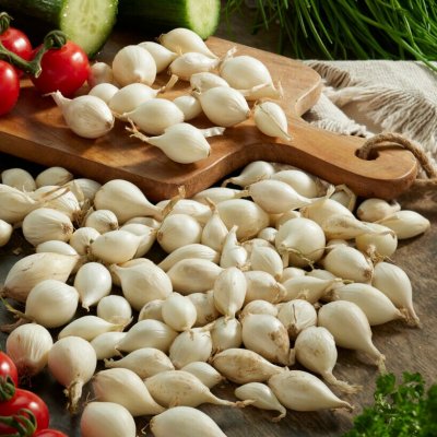 Sättlök Silverlök Snowball 250g