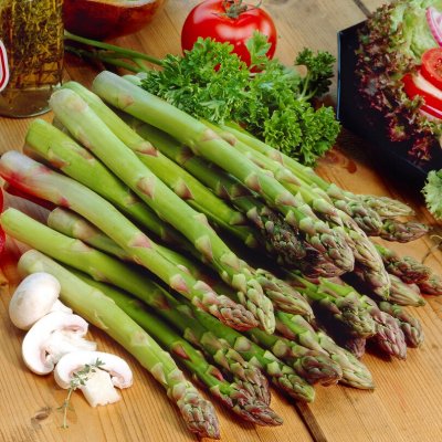 Asparagus officinalis Huchels Alpha, Sparris, SQ2