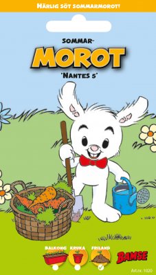 Morot Sommar Nantes 5