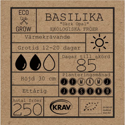 Basilika, Purpur-, Dark Opal, Ekologisk