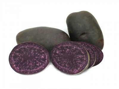 Sättpotatis Blaue Annelise 1kg