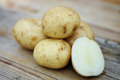 Sättpotatis, 'Casablanca', 1 kg, Ekologisk