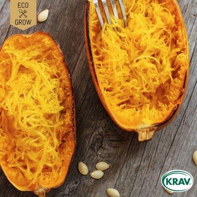 Pumpa, Spagetti-, Ekologisk