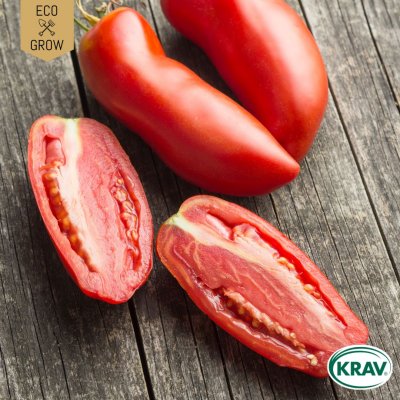 Tomat, Plommon-, San Marzano 2, Ekologisk