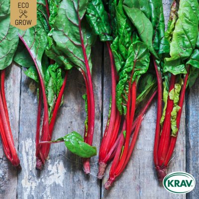 Mangold, Rhubarb, Ekologisk