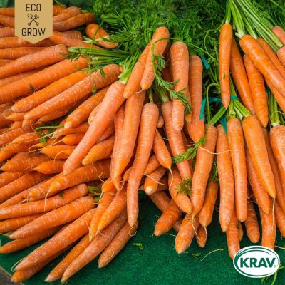 Morot Sommar Nantaise 2, Ekologisk