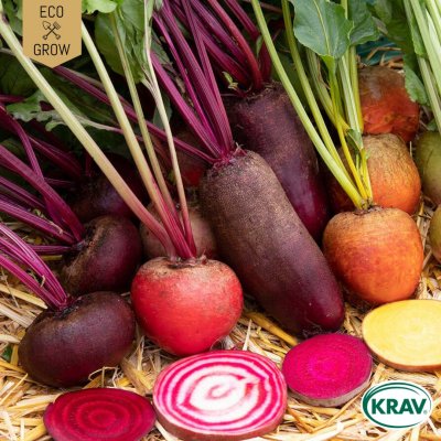 Betor Rainbow Mix, Ekologisk