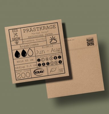 Prästkrage, Ox Eye Daisy, Ekologisk